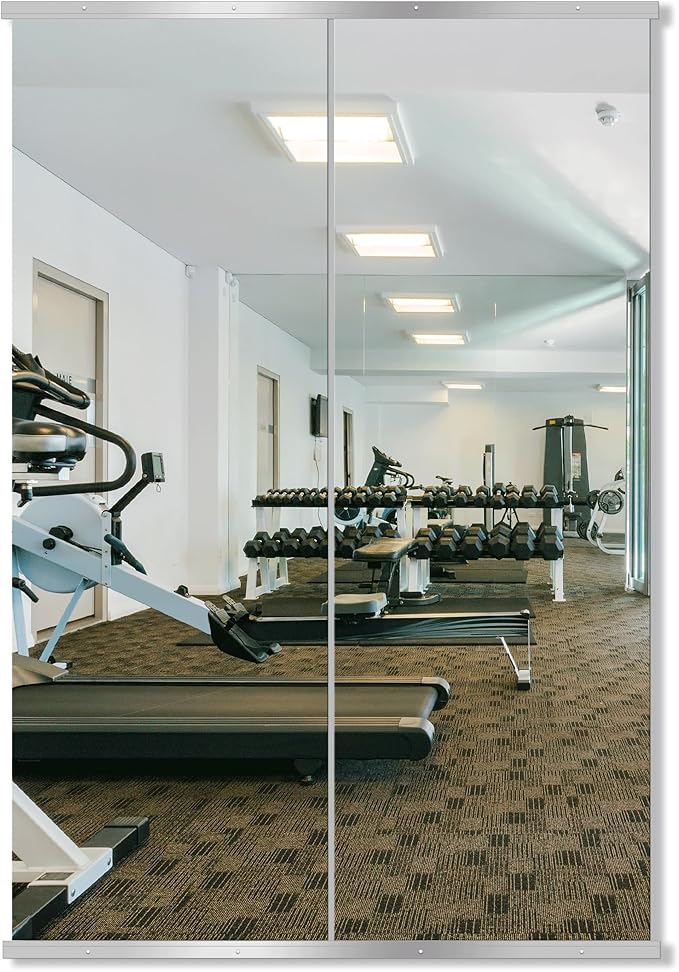 Delma Home Gym Mirror,70''x24''x2PCS Silver,Large Full Body Tempered Glass Frameless, Wall-Mounted for Gym, Yoga, Garage, Bedroom, Bathroom