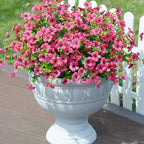 Artificial Fake Plants Flowers for Outdoor Outside Summer Decoration, 12 Bundles Faux Silk Hotpink Daisy UV Resistant Realistic for Porch Patio Home Window Box Yard Garden Planter