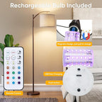 Battery Operated Floor Lamp, RGB Dimmable Cordless Standing Lamp with Remote Control for Living Room, Tall Floor Lamp for Bedroom -Brown