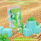 STRN Wax Melts, Soy Wax Cubes 6 Scents Mint, Watermelon, Mango, Passion Fruit, Pineapple & Strawberry, Summer Fruit Scented Long-Lasting Home Fragrance for Wax Warmers, Yoga, 1.25 OZ * 6 Packs