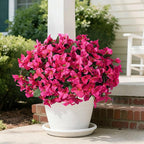 Faux Bougainvillea Artificial Flowers for Outdoors Spring Decor, UV Resistant Outdoor Fake Plants 4 Bundles Realistic Silk Bougainvillea Flowers for Outdoor Porch Patio Window Planter Garden Home