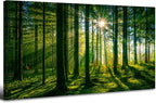 Forest Canvas Wall Art Green Mountain Wall Decor Tree Forest Landscape Prints Pictures Nature Woodland Sunrise Scenery Posters Paintings Modern Artwork for Living Room Bedroom Home Decorations 24x48”