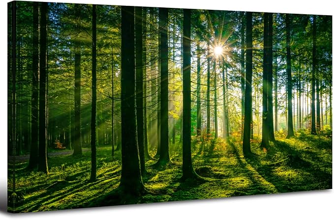 Forest Canvas Wall Art Green Mountain Wall Decor Tree Forest Landscape Prints Pictures Nature Woodland Sunrise Scenery Posters Paintings Modern Artwork for Living Room Bedroom Home Decorations 24x48”