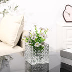 Square Vases Set of 6, 5" x 5" x 5" Square Glass Vases for Flowers, Clear Flower Vase for Centerpieces, Small Bubble Vase for Wedding, Party, Home, Office, Parties, Events