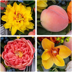 Pinkpuii Spring Summer Door Hanger Basket Wreaths for Front Door, Artificial Peony Hydrangea Flower Wreath with Blueberries & Realistic Peach & Lemon- Ideal for Home Porch Entryway Window Wall Decor