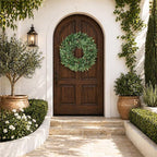 Olive Eucalyptus Wreaths for Front Door 22 Inch, Artificial Waterproof Green Olive Branch Wreath with Berry for Home Outdoor Indoor Farmhouse Window Spring Summer All Seasons