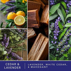 ScentSationals Cedar & Lavender Scented Wax Melts - Lavender, White Cedar, & Mahogany, 10oz (24 Cubes)
