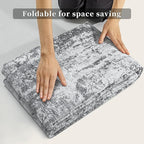 Ciicool Abstract Area Rug Indoor, 3x5 Washable Entryway Rug, Modern Soft Throw Rug with Non-Slip Backing Ideal for Bedroom Living Room Entrance Kitchen, Non-Shedding Low-Pile Floor Carpet Doormat Gray