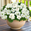 Artificial Geraniums Flowers for Outdoors Spring Decor, 4 Bundles UV Resistant Fake Geraniums Flowers Silk Faux Plants for Home Planter Gardens Table Patio Porch Indoor Cemetery Summer Decor(White)