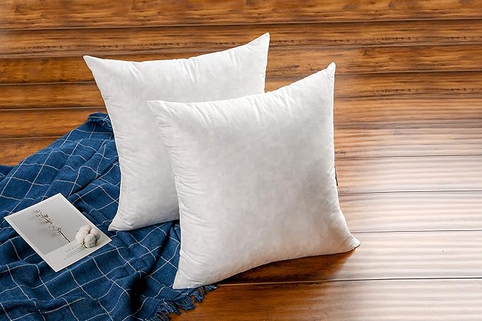 JA COMFORTS 22×22 Premium Goose Down Feather Throw Pillow Inserts(Set of 2)-5% Down Filling,High Filling Weight,250 TC Cotton Cover, Square, White