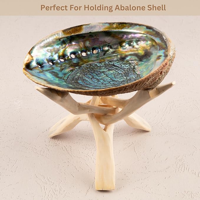 Wish Well Extra Large 8" Wooden Tripod Stand - Hand-Carved Room Decor Holder ~ Ideal for Abalone Shell, Decorative Bowl, Crystal Ball, Sphere, Geode ~ Wood Display Stand & Perfect Crystal Holder