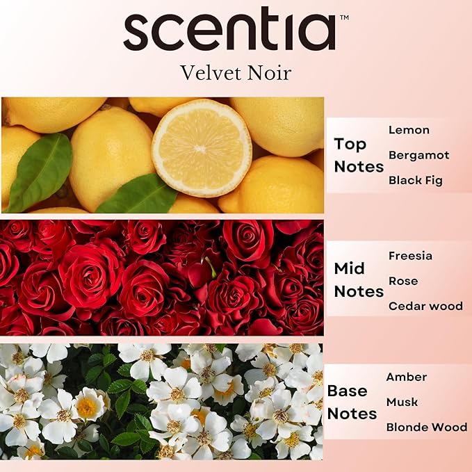 Scentia Noir Mystique – Hotel-Inspired Diffuser Oil, 20 ml (0.67 fl oz) | Essential Oil Blend of Rose, Bergamot, Lemon & Musk | Luxury Aroma for Aromatherapy Diffusers & Humidifiers, Thanksgiving Gift