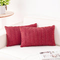 Aegero Pack of 2 Corduroy Decorative Throw Pillow Covers 12x20 InchSoft Boho Striped Pillow Covers Modern Farmhouse Home Decor for Sofa Living Room Couch Bed（Cranberry Red）