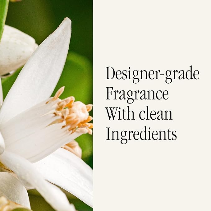 Pura & Unify Co. Home Scent Refill - Smart Home Air Diffuser - Long-Lasting Luxury Fragrance per Refill - Spring & Summer Fragrance - 2 Pack, Sun