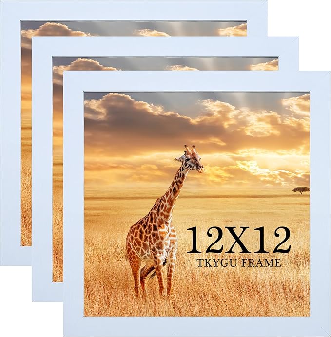 12x12 Picture Frame Set of 3, white Wooden Frame 12by12 Square Wall Gallery Poster Photo frame with Durable Shatter Resistant Plexiglass for Wall Hanging best gift
