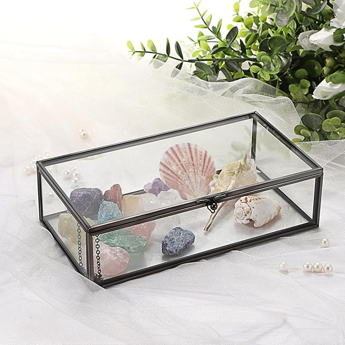 Hipiwe Glass Keepsakes Display Box with Lid - Decorative Black Glass Box Clear Rectangle Storage for Trinket Perfume Cards Gift