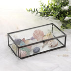 Hipiwe Glass Keepsakes Display Box with Lid - Decorative Black Glass Box Clear Rectangle Storage for Trinket Perfume Cards Gift
