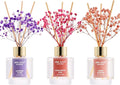 Airkeep Reed Diffuser Set of 3, Lavender Thyme Sandalwood Rose Cherry Blossom Oil Reed Diffusers for Bedroom Living Room Office Aromatherapy Oil Reed Diffuser for Gift 50ml x 3