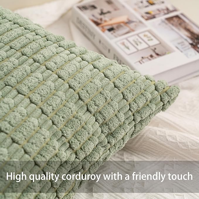 Aegero Pack of 2 Corduroy Decorative Throw Pillow Covers 18x18 Inch Soft Striped Pillow Covers Modern Farmhouse Home Decor for Sofa Living Room Couch Bed（Aqua）