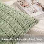 Aegero Pack of 2 Corduroy Decorative Throw Pillow Covers 18x18 Inch Soft Striped Pillow Covers Modern Farmhouse Home Decor for Sofa Living Room Couch Bed（Aqua）