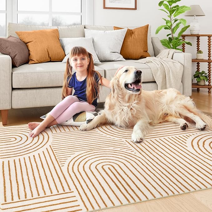 Lahome Abstract Bedroom Rugs, Soft Washable Area Rugs 4x6 Non Slip Rainbow, Ultra-Thin Orange Throw Carpet for Entryway Kitchen Living Room, Orange