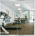 Delma Home Gym Mirror, 50''x25''x2PCS Silver Wall Mounted Large Frameless Tempered Glass Wall Mirror for Home Gym, Garage, Bedroom, Bathroom