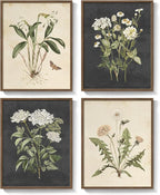 Framed Botanical Wall Art for Living Room, 4 Piece Rustic Floral Canvas Paintings Prints, Vintage Flower Pictures for Farmhouse Dining Room Hallway Bedroom Kitchen Bathroom Wall Decor, 12x16 Inch