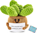 DAFURIET Mini Funny Crochet Succulent, 3 inch Knitted Wool Doll with Card for Cheer Up Gifts and Party Decorations, Cute Wool Crochet Doll for Mother’s Day Easter Birthday Gifts (Succulent Plant)