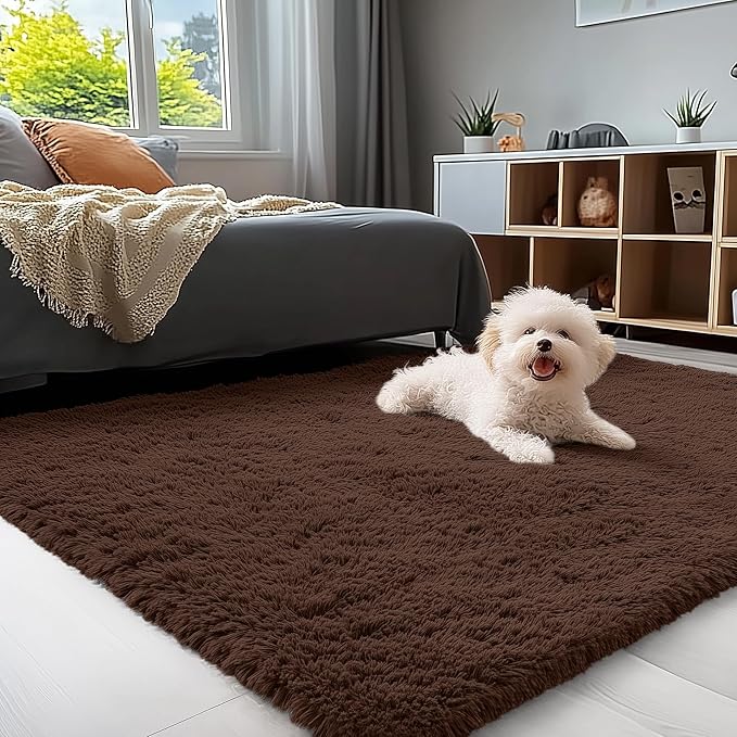 OLANLY 4x4 Machine Washable Accent Rug, Soft Fluffy Shaggy Area Rug for Bedroom, Living Room, Indoor Floor Carpet for Kids, Nursery, Home Decor, Coffee