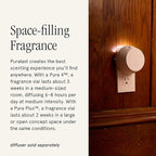 Pura x Studio McGee Home Scent Refill - Smart Air Diffuser - Long-Lasting Luxury Fragrance per Refill - Home Essential - Clean & Safe Diffuser Fragrance - 2 Pack, White Bergamot
