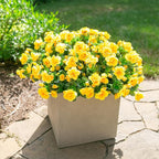 HyeFlora Artificial Fake Flowers Plants for Spring Outdoor Outside Decor, Faux Silk Yellow Camellia UV Resistant Realistic for Planter Front Door Porch Patio Balcony Decoration, 3 Large Bundles