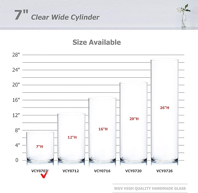 WGV Cylinder Vase Bulk, Width 7", Height 7", Clear Wide Large Diameter Flower Glassware, Floral Container, Planter Terrarium for Wedding Party Event, Home Accent Decor, 6 Pieces