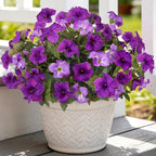 6 Pcs Artificial Petunia Flowers for Outdoors, Fake Flowers for Outdoor Planter, UV Resistant Realistic Faux Petunias Plants for Outside No Fade for Garden Porch Patio Indoor Decor(Double Purple)