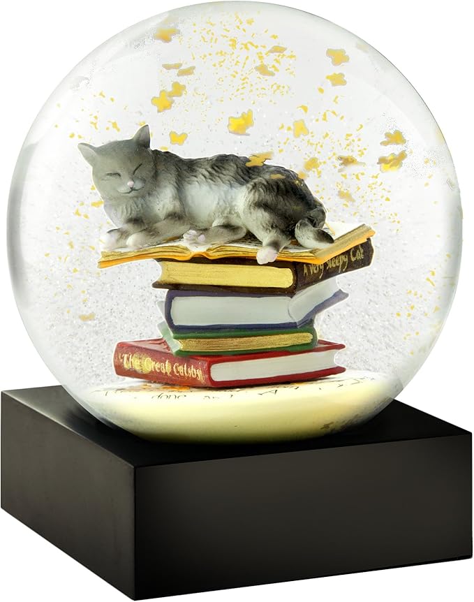 CoolSnowGlobes Cat on Books Cool Snow Globe