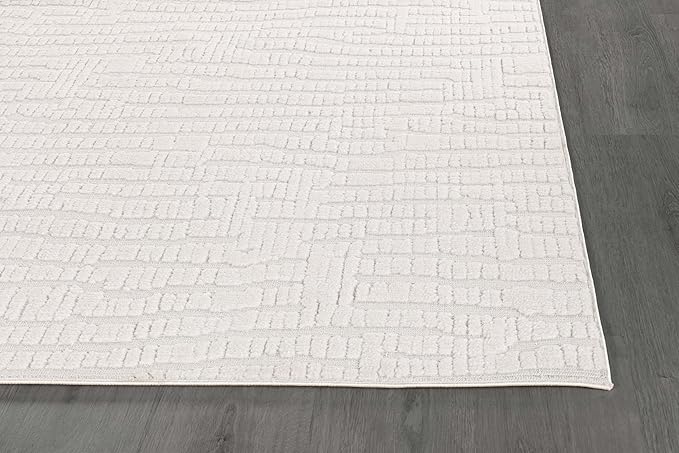 Modern Micro Loop Indoor Area Rugs for Living Room Bedroom Kitchen Geometric Pebble White 4x6 Luxury Durable Low and High Pile Non-Shedding Stain Resistant Soft Area Carpet 4 x 6