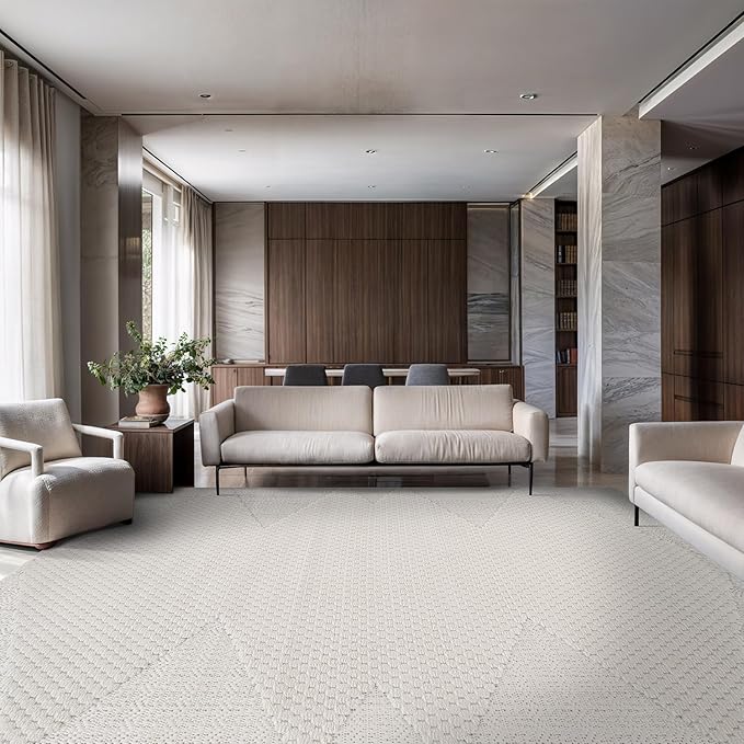 Modern Micro Loop Indoor Area Rugs for Living Room Bedroom Kitchen Geometric Triangle White 6x9 Luxury Durable Low and High Pile Non-Shedding Stain Resistant Soft Area Carpet 6 x 9