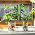 Christmas Vases, 2 Sizes Propagation Jars with Christmas Decorations Patterns, Desktop Glass Hydroponic Planter for Plant Cuttings, for Plant Lovers (18)