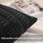Aegero Pack of 2 Corduroy Decorative Throw Pillow Covers 20x20 InchSoft Striped Pillow Covers Modern Farmhouse Home Decor for Sofa Living Room Couch Bed（Black）