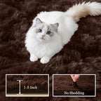 6x9 Area Rugs for Living Room Bedroom: Ultra Soft Fluffy Shag Rug Upgrade Non-Slip Non-Shedding Large Fuzzy Plush Carpet Indoor Floor Carpets for Kids Room Playroom Nursery Dorms Home Decor Brown