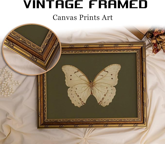 Vintage Gold Framed Wall Art Retro White Butterfly Canvas Print Dark Green Olive Insect Painting Picture Rustic Farmhouse Moth Cottagecore Poster Artwork for Living Room Bedroom