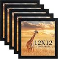 12x12 Picture Frame Set of 5, Black Wooden Frame 12x12 Square Wall Gallery Poster Photo frame with Durable Shatter Resistant Plexiglass,Horizontal and Vertical Formats for Wall Hanging best gift