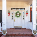 WreathDream 20 inch Artificial Christmas Wreath Winter Wreath for Front Door with Champagne Gold Berry,Christmas Balls for Front Door Farmhouse Indoor Outdoor Holiday Home Decor