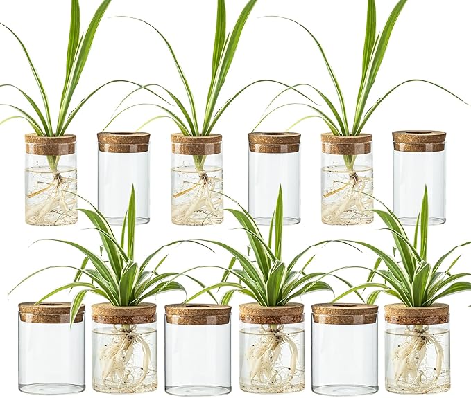 Glass Propagation Stations for Plants -Desktop Flower Vases,Propagation Flower Vases Set – 6 Large & 6 Small for Plant Cuttings，for Living Room, Bedroom Decoration,Home,Office Decor (12)