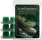 Scentsationals Woodland Spruce Scented Wax Melts - Amber Birch, Eucalyptus, & Sage, 10oz (24 Cubes)