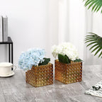 Square Vases Set of 6, 5" x 5" x 5" Square Glass Vases for Flowers, Amber Flower Vase for Centerpieces, Small Bubble Vase for Wedding, Party, Home, Office, Parties, Events