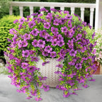 Artificial Hanging Flowers for Outdoors Spring Decoration, 2PCS Silk Fake Daisy Realistic Outdoor Flowers UV Resistant Porch Patio Window Yard Decor(Purple)
