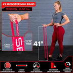 SERIOUS STEEL FITNESS Assisted 41" Pull-Up Band, Resistance & Stretch, Powerlifting & Pull-up Assist Loop (Single Band)