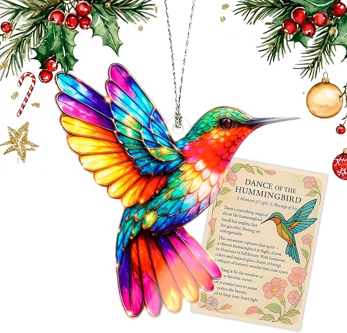 Hummingbird Gifts for Women 2026 - Mothers Day mom Gifts - Hummingbirds Christmas Ornaments 2026 for Meaningful Valentines Hummingbird Valentines Birthday Gift for Mom Wife Girlfriend