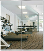 Delma Home Gym Mirror,60''x25''x2PCS Silver,Large Full Body Tempered Glass Frameless, Wall-Mounted for Gym, Yoga, Garage, Bedroom, Bathroom
