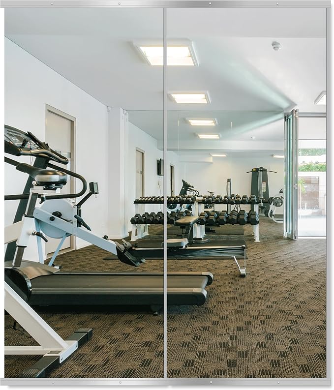 Delma Home Gym Mirror,60''x25''x2PCS Silver,Large Full Body Tempered Glass Frameless, Wall-Mounted for Gym, Yoga, Garage, Bedroom, Bathroom